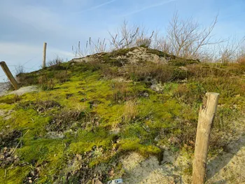 Oostnieuwkerke duinen wandeling in de koude (België)